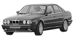 BMW E34 P1E39 Fault Code